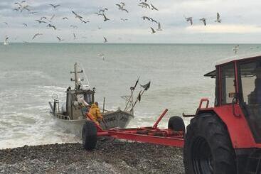 Bed and Breakfast Chambres D Hôtes à 2 Km De Veules Les Roses