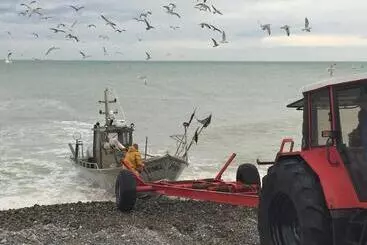 Aamiaismajoitus (B&B) Chambres D Hôtes à 2 Km De Veules Les Roses