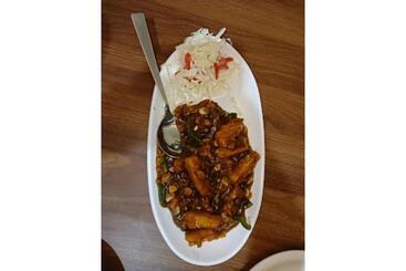 Hotel Bhondawe Palace