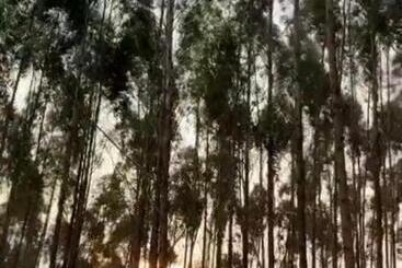 Hotel Buen Vivir Restrepo A 30 Minutos Lago Calima