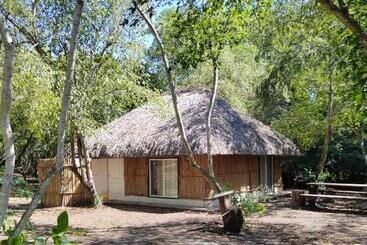 Cabañas, Jardín De Las Palmas, Rancho Agroturístico, Tamuín S.l.p