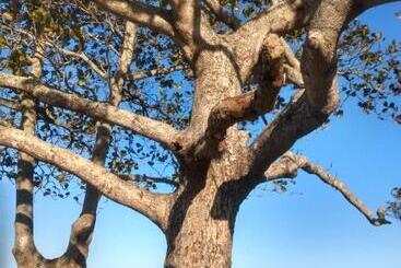 Hostel Canto Da Praia 109