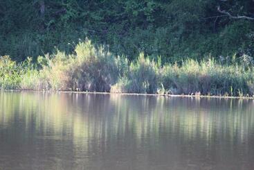 Pension (Hôtel basse catégorie) Barnside Guest House