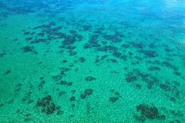 ホテル 杜屋 西表島