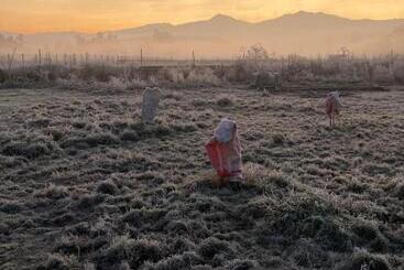 ベッドアンドブレックファースト Bienvenido A Campo Alerce