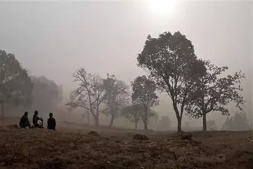 Kadumane Hills Pure Veg Resort