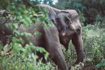 Hotelli The Salty Pelican Yoga & Surf Retreat