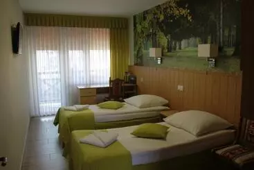 Hotel Zielony & Ow Borowik & Pensjonat Manhattan   Centrum Rekreacji I Wypoczynku Gastrotur