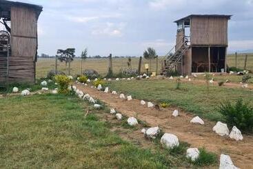 Resort Mambo Game View