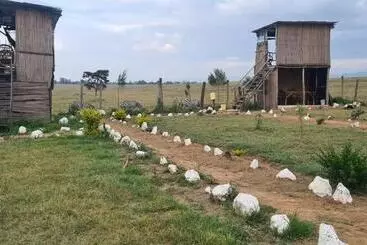 استراحتگاه Mambo Game View