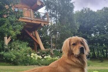 Пансион La Quiete Di Ileana Sofian