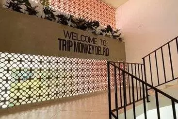 ホテル Trip Monkey Del Río