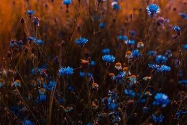 Hotel Location De Hote