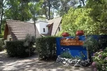 هاستل Hosteria Edelweis