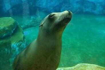 Pansiyon Guestroom Valençay, 1 Pièce, 2 Personnes   Fr 1 591 570