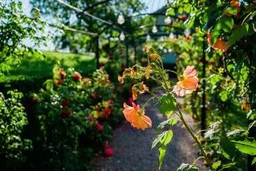 ホテル Schloss Freudenfels