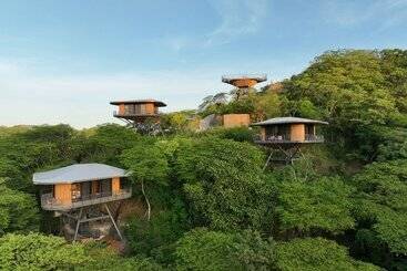 هتل Suitree Experience