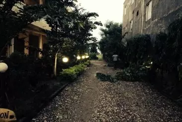 Hotel Jungle Vista