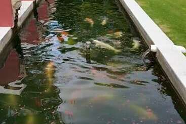 ペンション Beaufort Manor Country Lodge