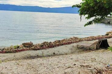 Bed and Breakfast Sarah S Cottage Toba Samosir