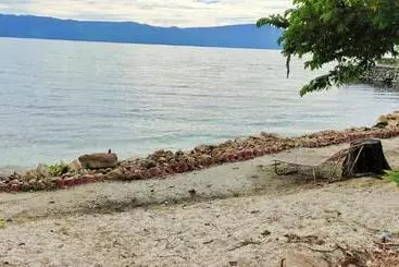 Aamiaismajoitus (B&B) Sarah S Cottage Toba Samosir