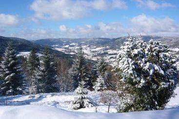 游客公寓 Chalet Charmant Au Tholy Avec Piscine Partagee