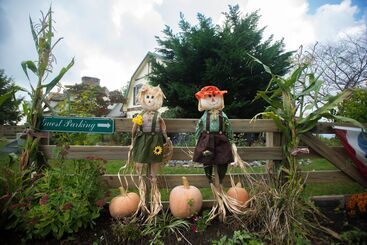 Отель Antietam Overlook Farm