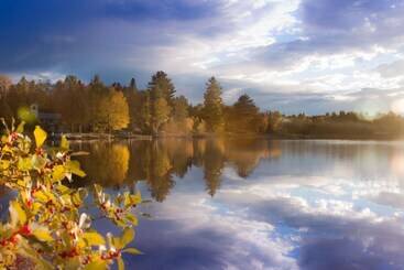 Hotel Lakepoint Cottage Resort