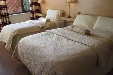 Hotel Windsor Lodge B&b