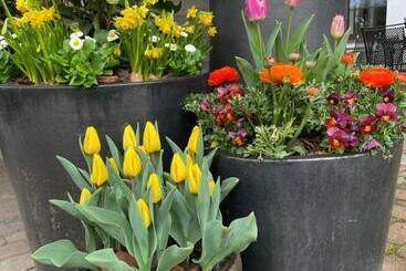 호텔 Schwarzwälder Hof Achern