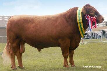 住宿加早餐  Tregondale Manor Farm