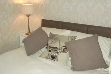 Aamiaismajoitus (B&B) Kirkcroft Guest House