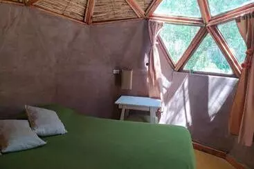 Cămin Casa Arbol Domos