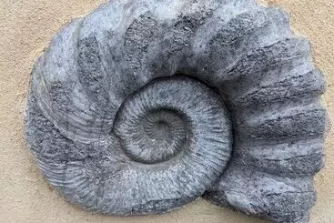 Pensió Jurassic Bay Holidays