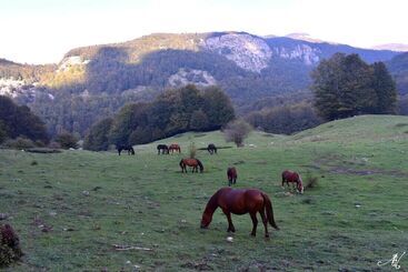 ペンション Nirvana Experience Bed And Breakfast
