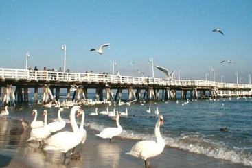 Apartaments turístics Dom & House   Willa Baltic Residence