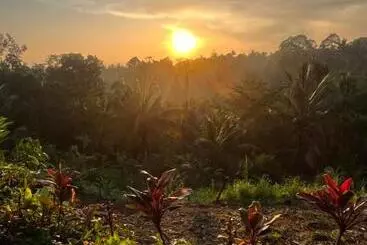 ホテル Tetebatu Jungle Vibes