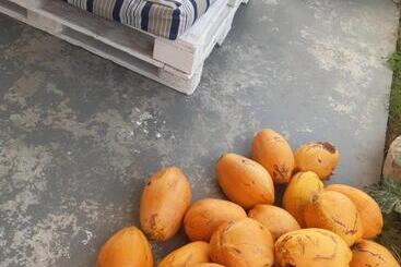 펜션 Papol Et Tella Guesthouse