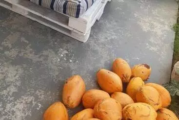 Pensão Papol Et Tella Guesthouse