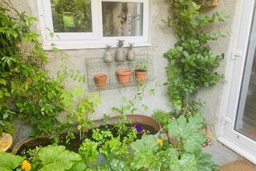 Nocleg ze śniadaniem Molesworth Arms Pyworthy