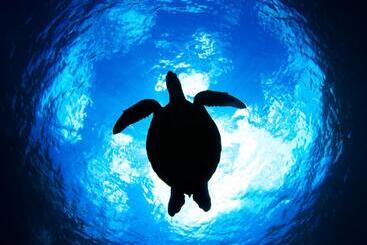 Pensione Ocean Front Miyakojima