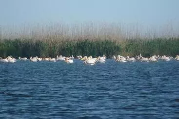 ペンション Casa Iustina Sulina