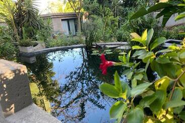 Pension Muckleneuk Manor