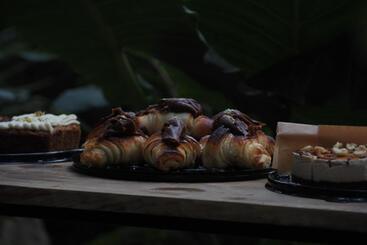 בית מלון כפרי El Refugio De Sayulita   Health And Wellness House