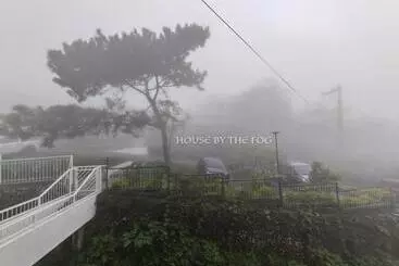 Bed and Breakfast House By The Fog Suite Room