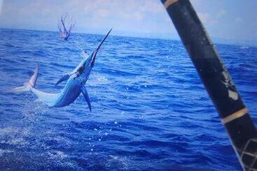 هتل آپارتمان The Moorings Condo   Wild Dunes Resort   Isle Of Palms Marina