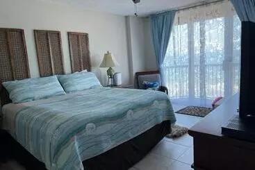 アパートホテル Ponce Inlet Florida Breathtaking Oceanfront Penthouse Villa!