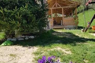 Pension Bran Ioana