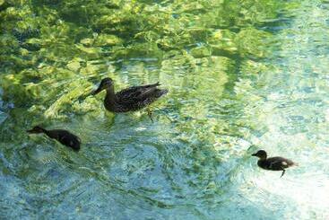 Vila Park B&b Adults Only