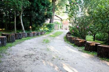 Bed and Breakfast Andelomi Forest Lodge